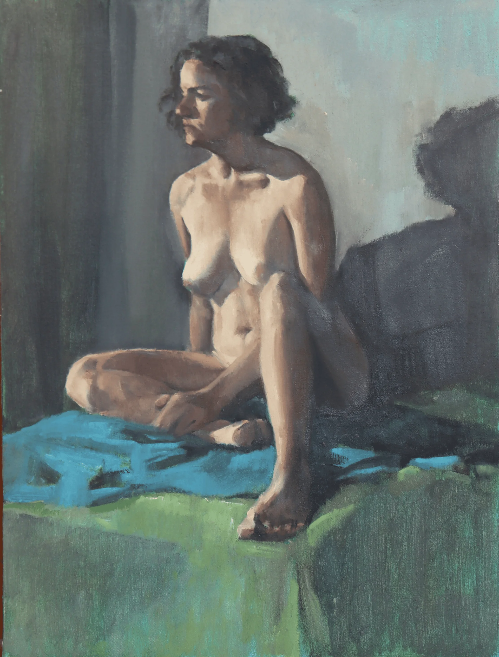 Shadowed Repose