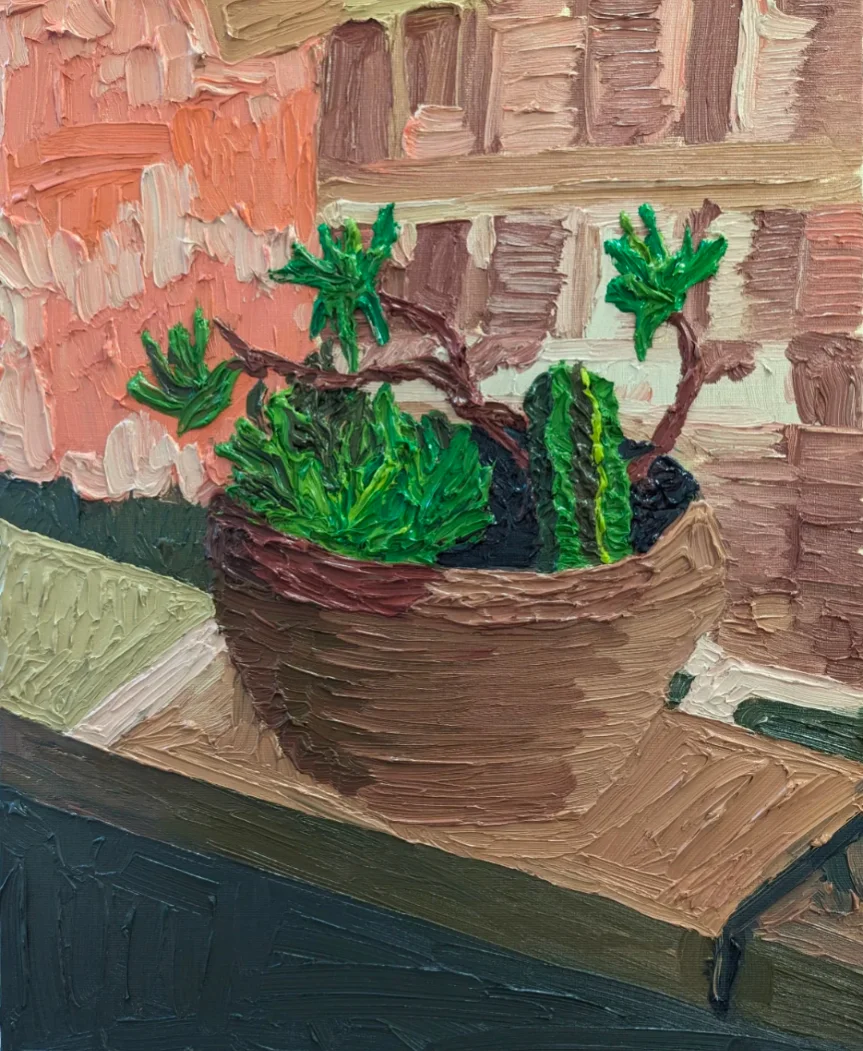 Windowside Succulent Study