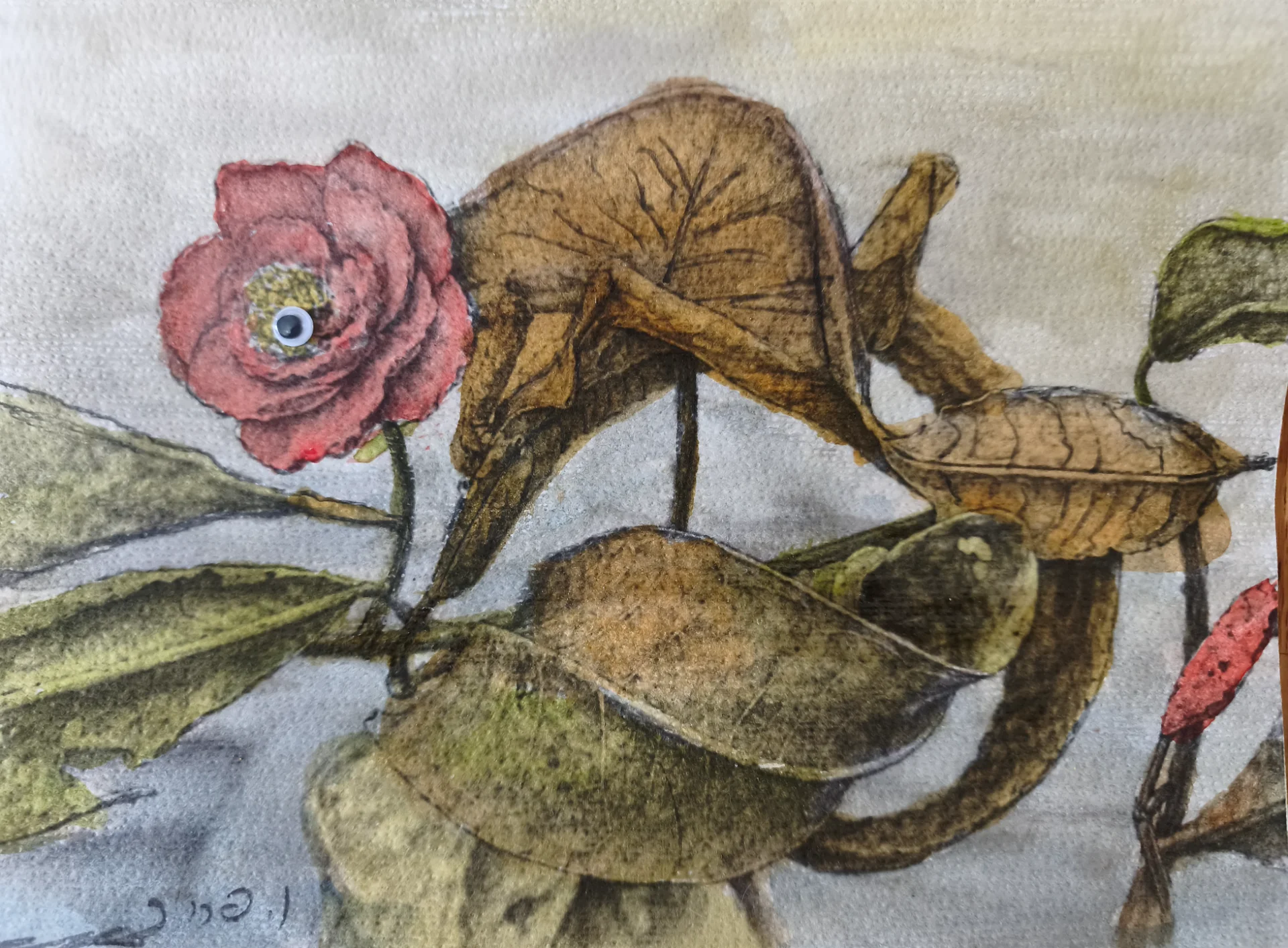 Watcher in Bloom