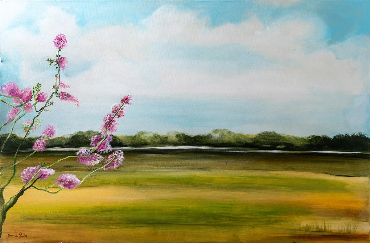 Blossoms Over Quiet Marsh