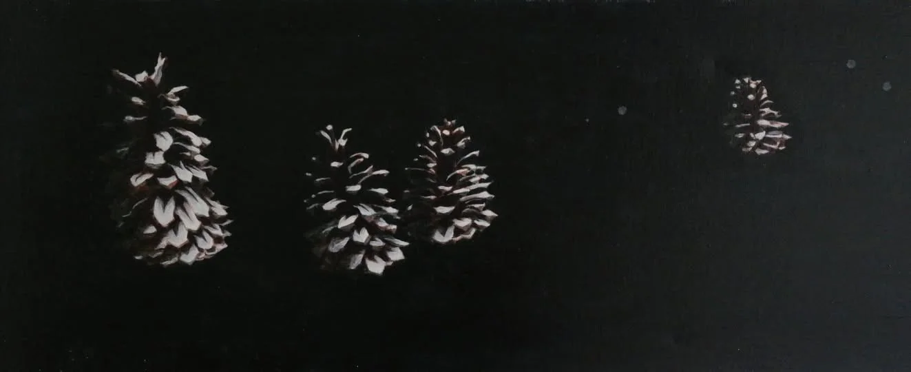 Pinecones in Silence