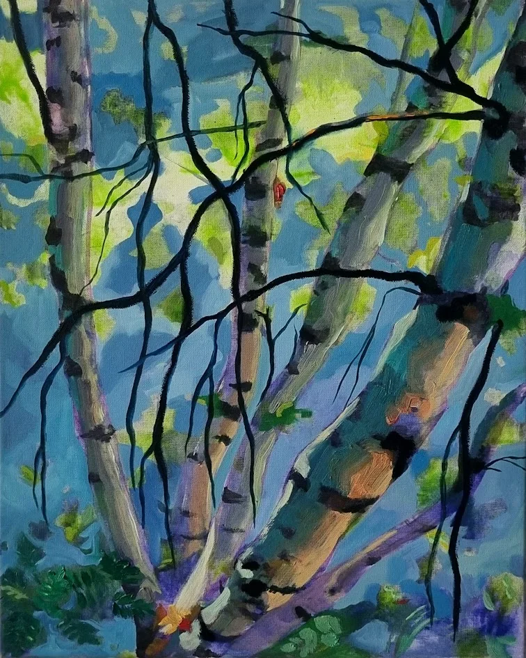 Birch Groove II
