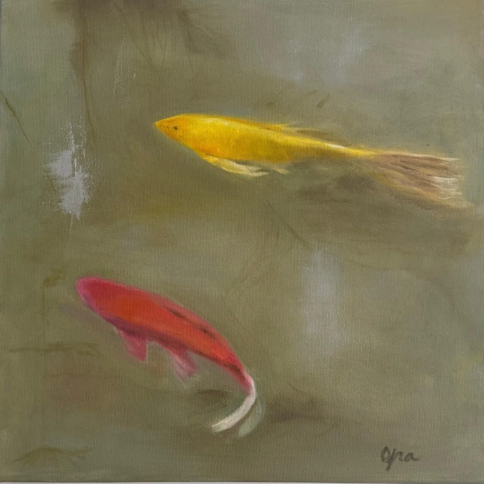 Quiet Koi Drift