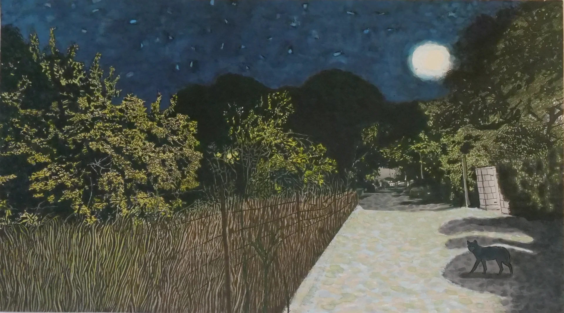 Moonlit Path with Cat