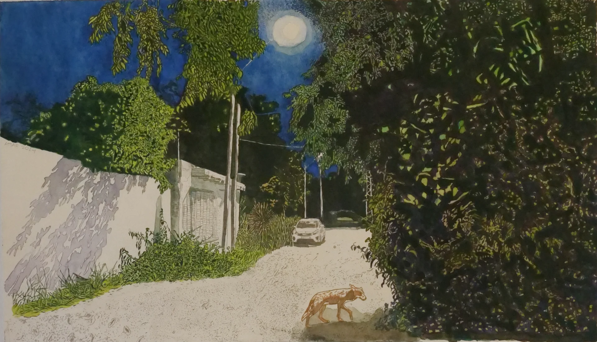 Moonlit Lane Visitor