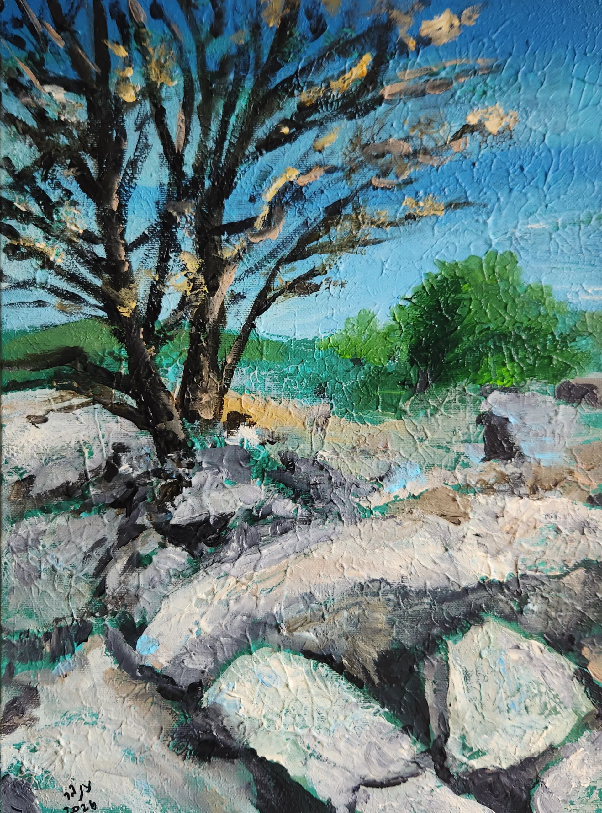 A tree on the rocks of Mount Hermon
