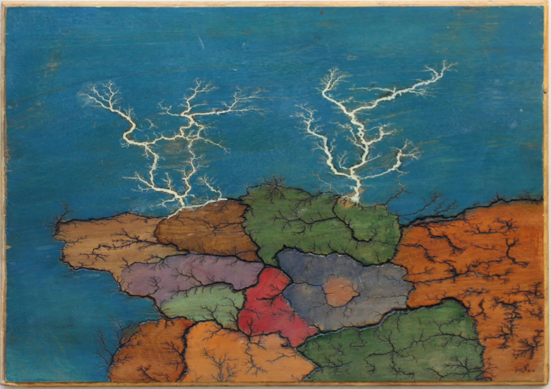 Corals