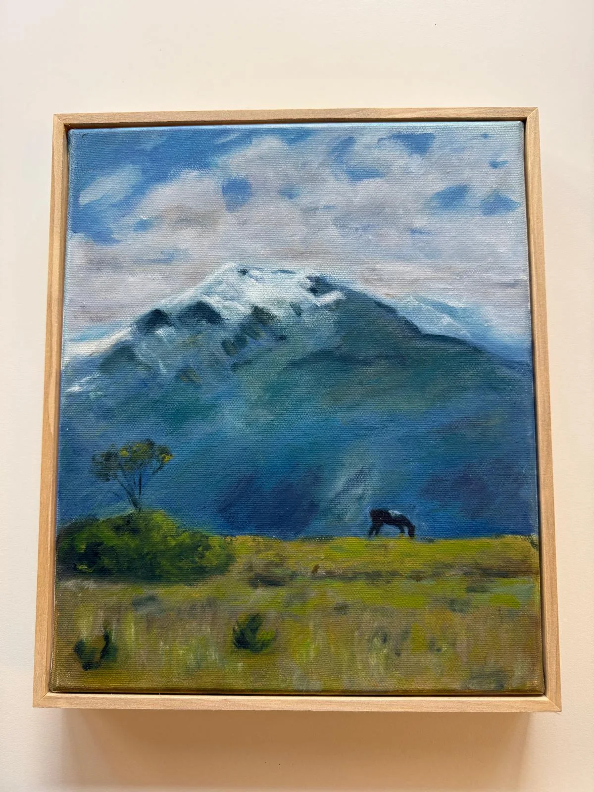 Quiet Mountain Pasture