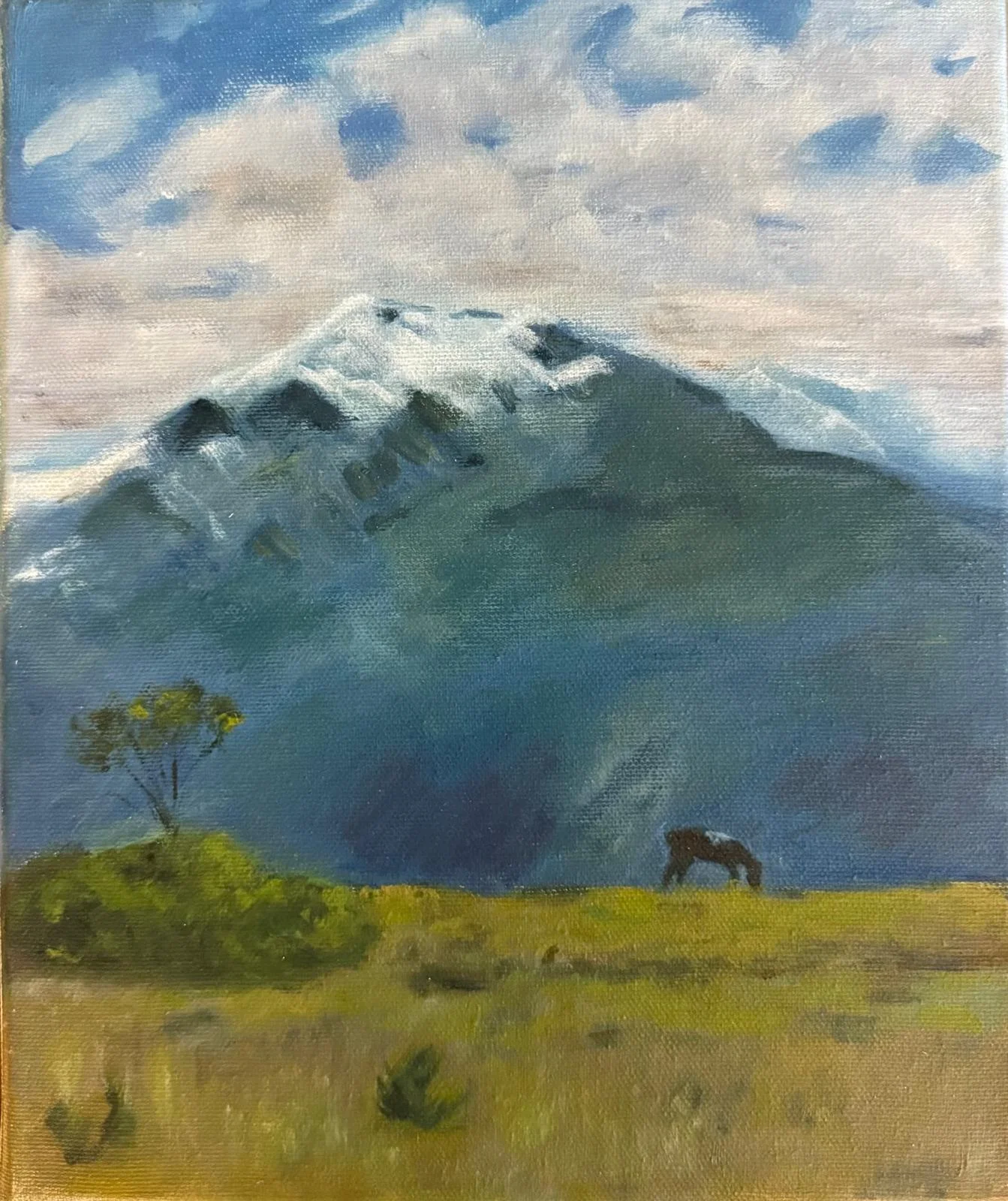 Quiet Mountain Pasture
