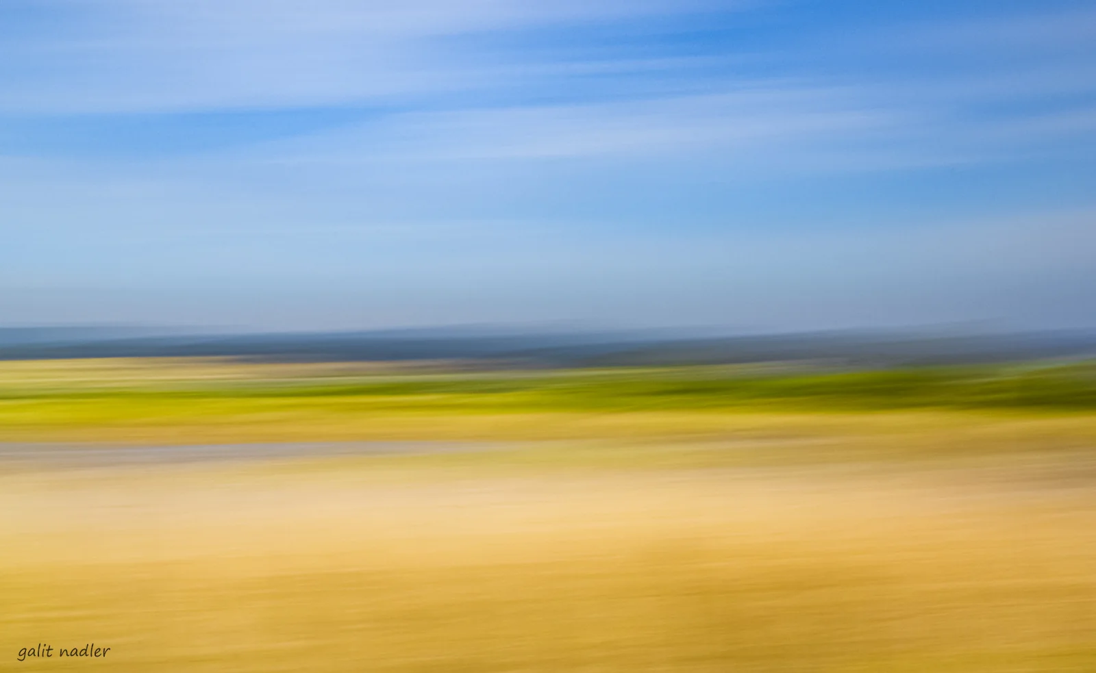 Fields of light