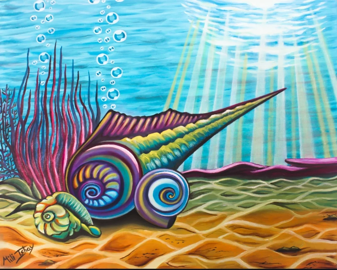 Seashells on the Ocean Floor