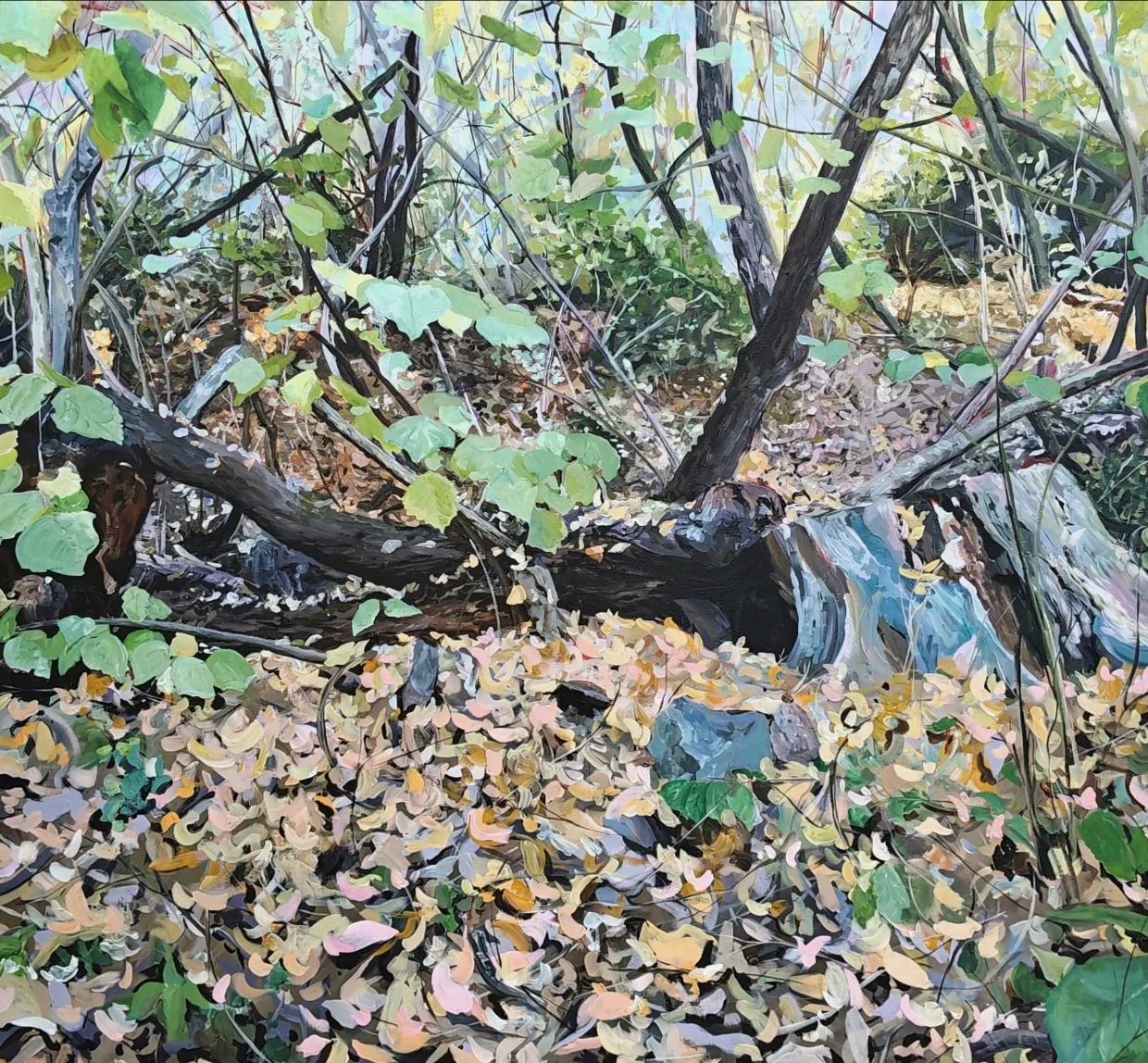 Autumn in the valley