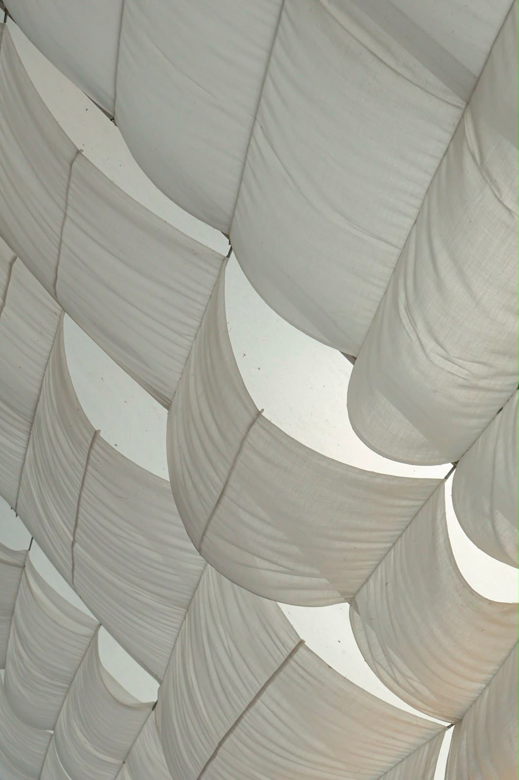 White Sail