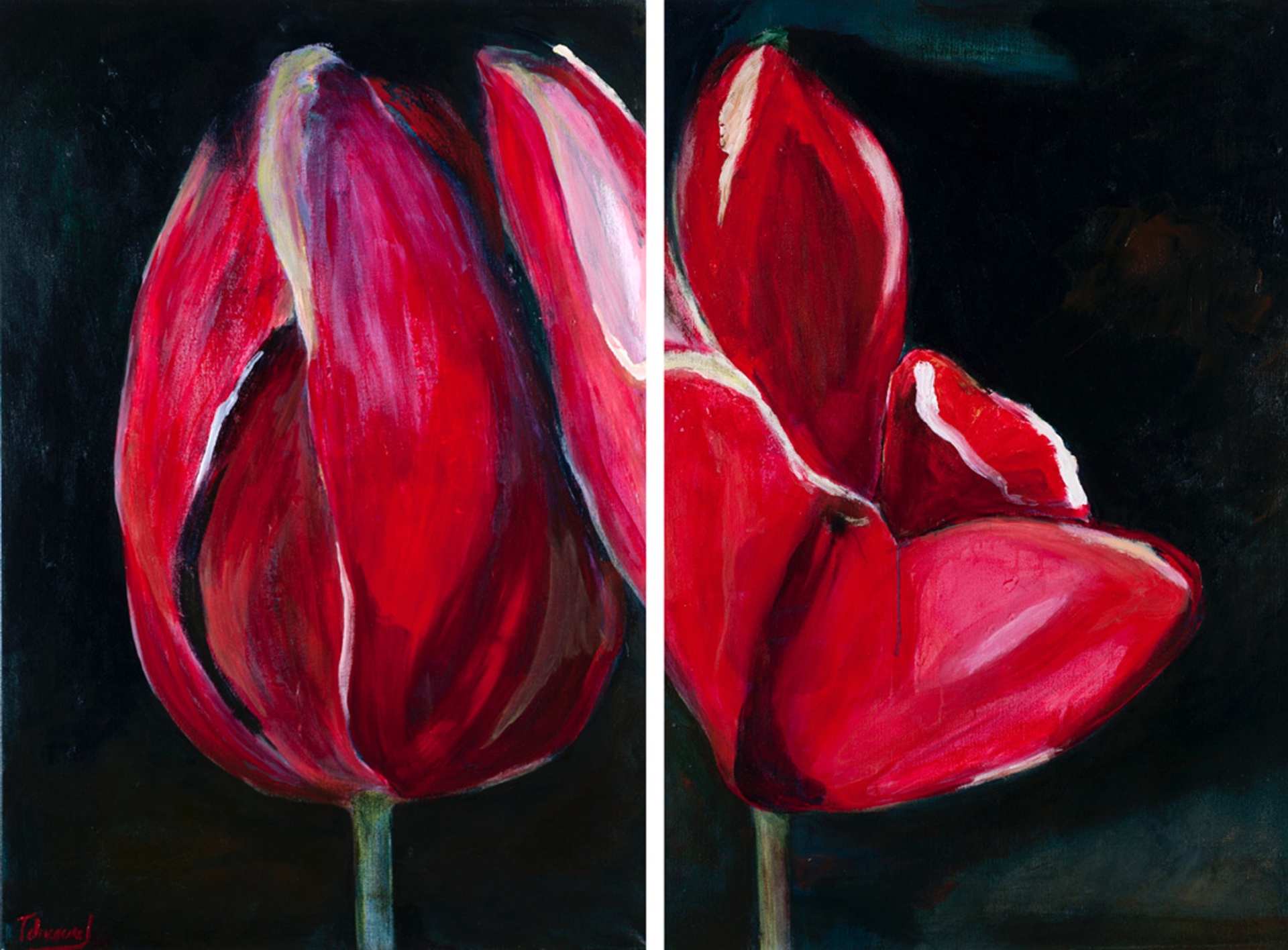 Bud and Bloom