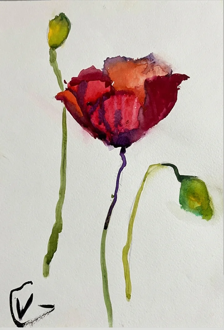 The Lonely Poppy