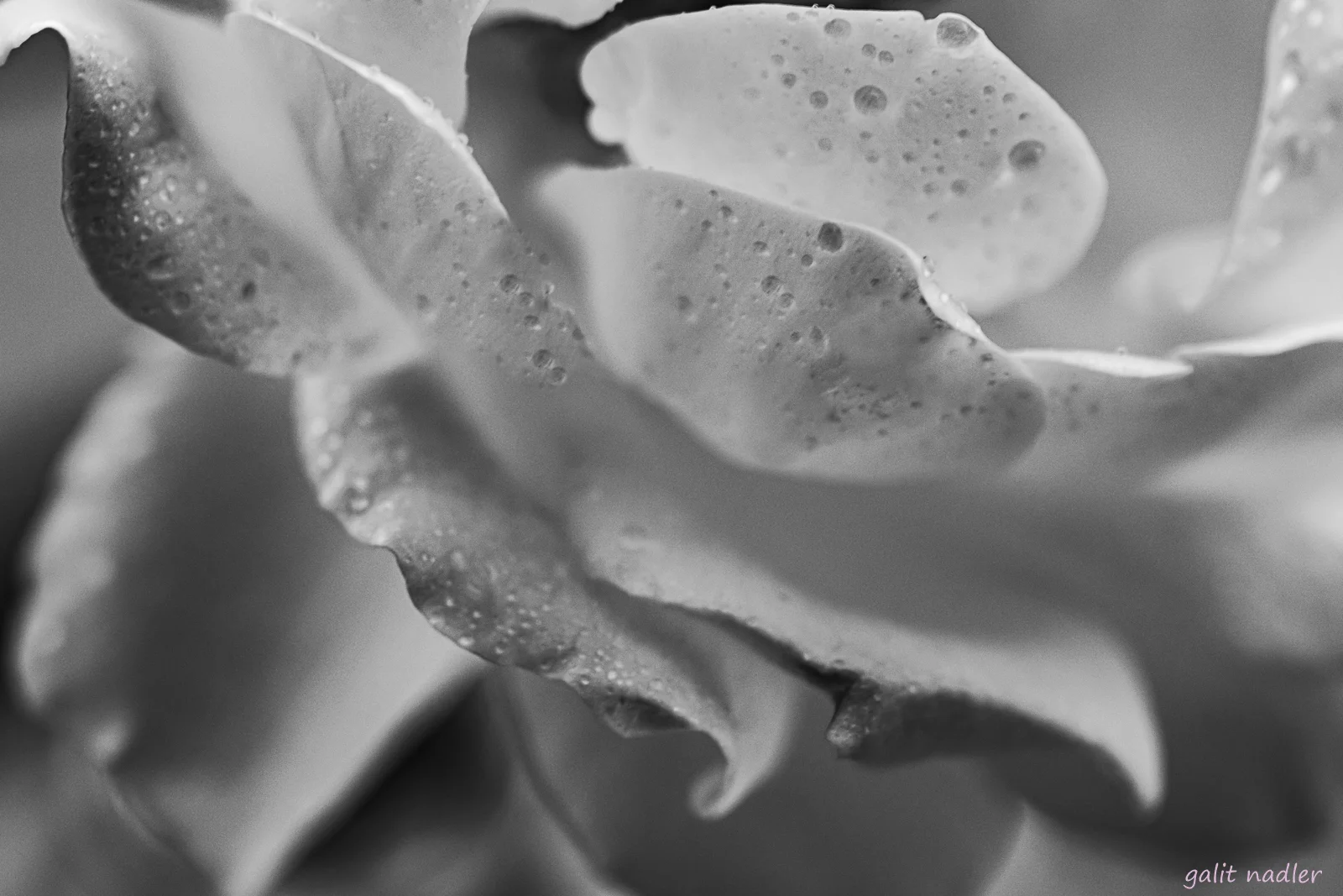 intimacy