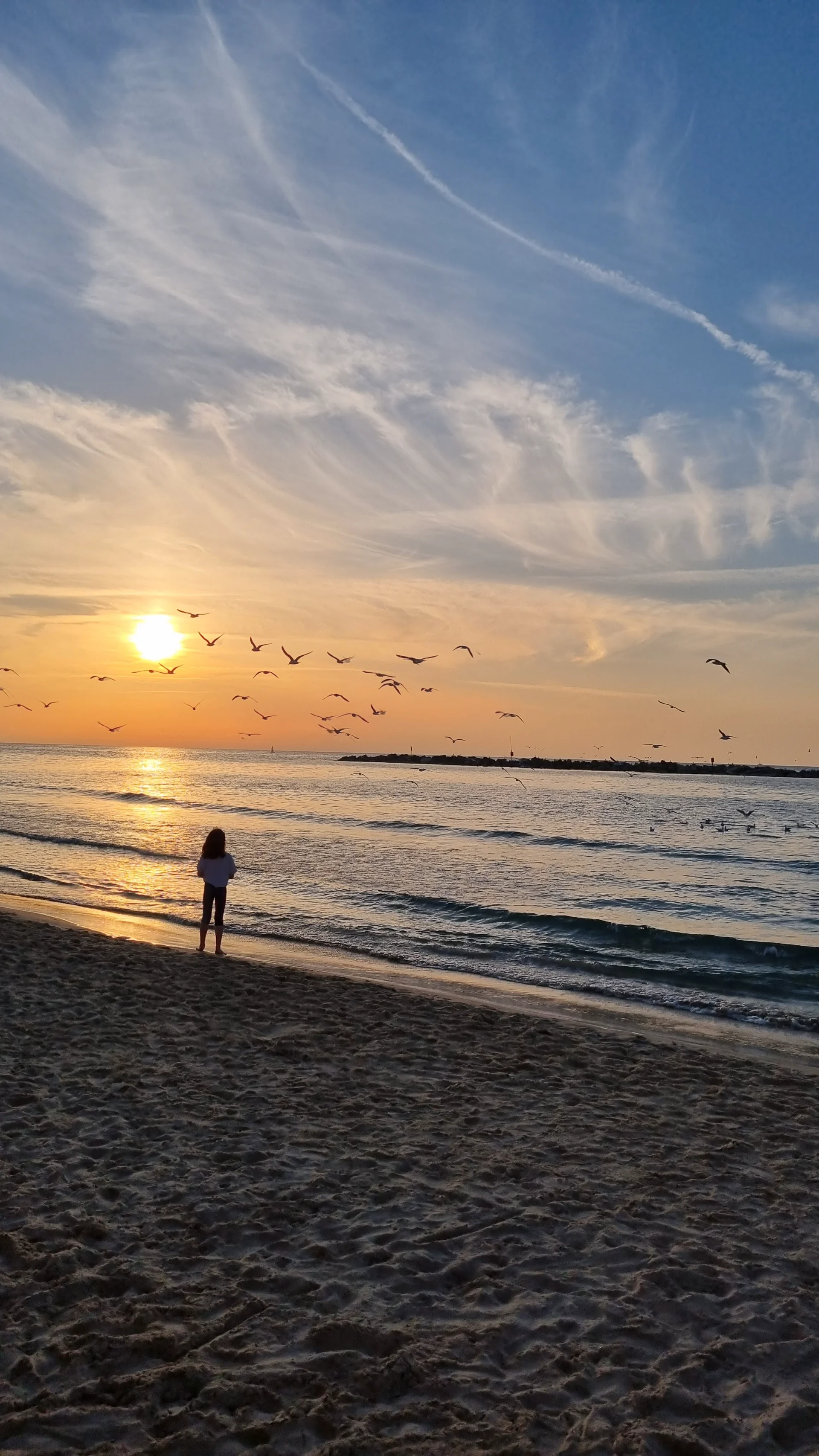 Flight at Sunset