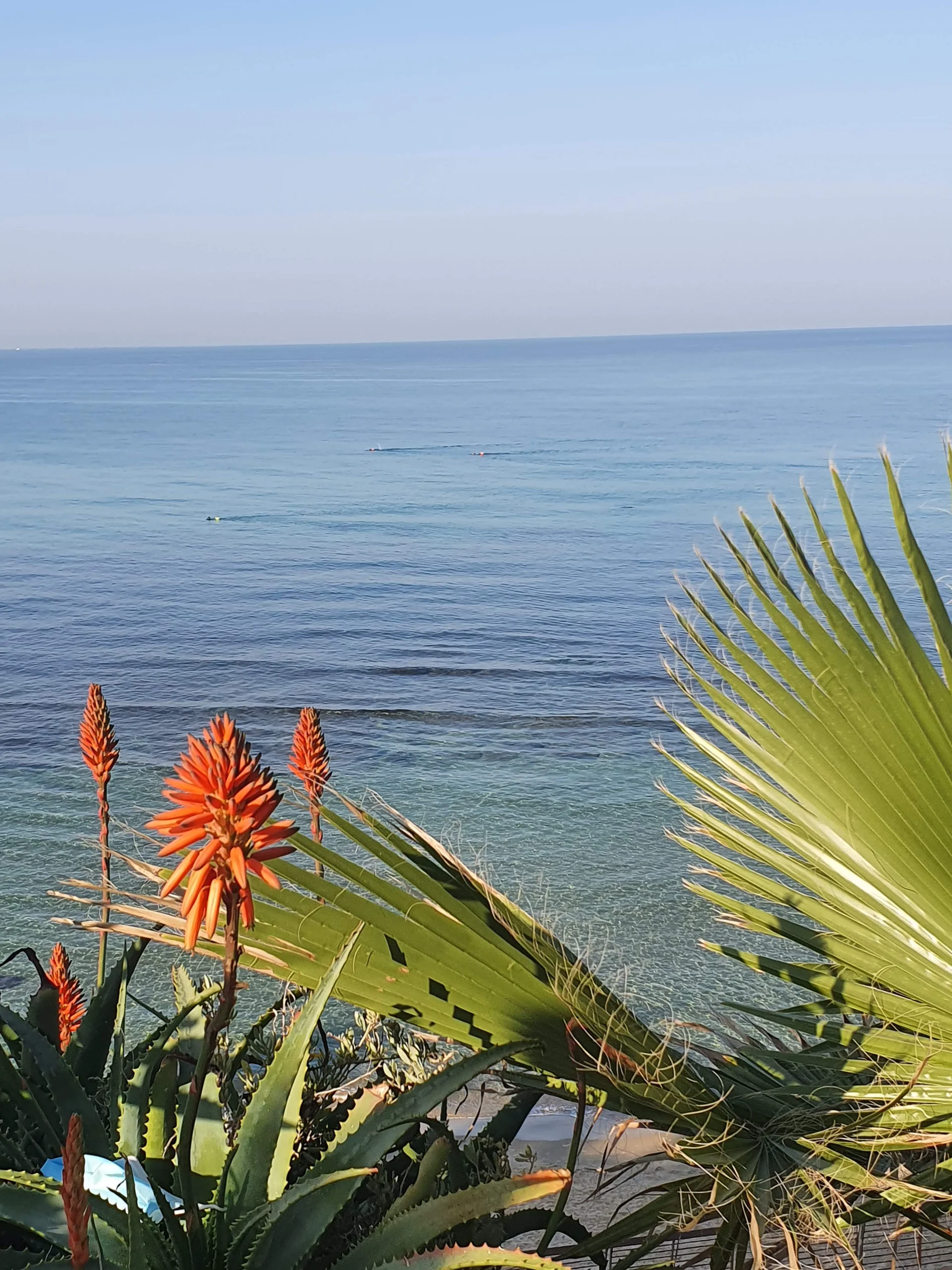 Mediterranean Resilience: The Coast, Part I