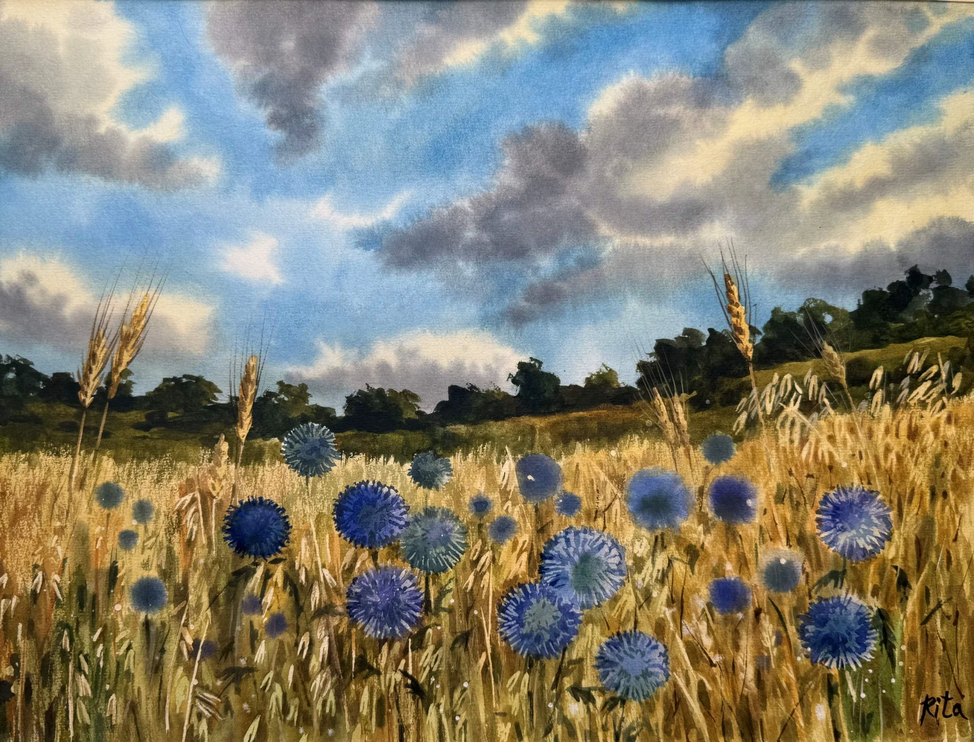 Blue Field of Echinops