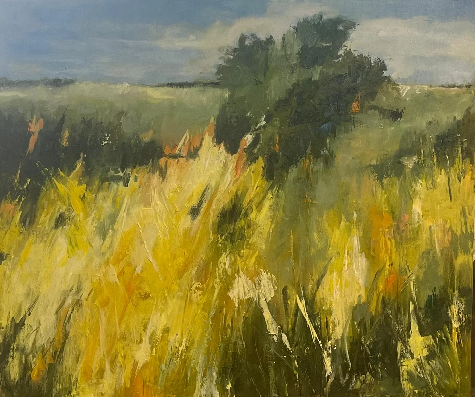 Golden Field Hush