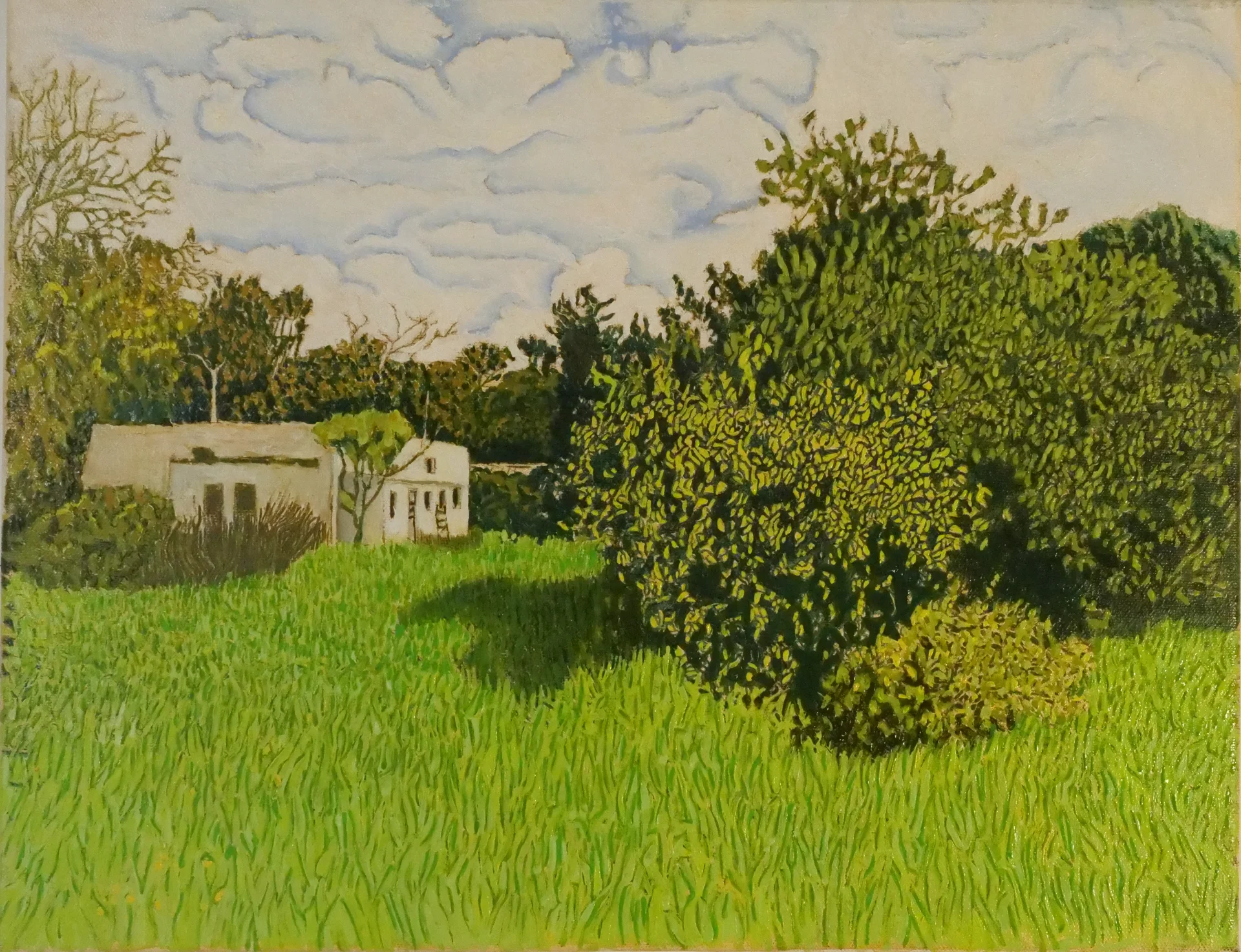 Quiet Orchard Light