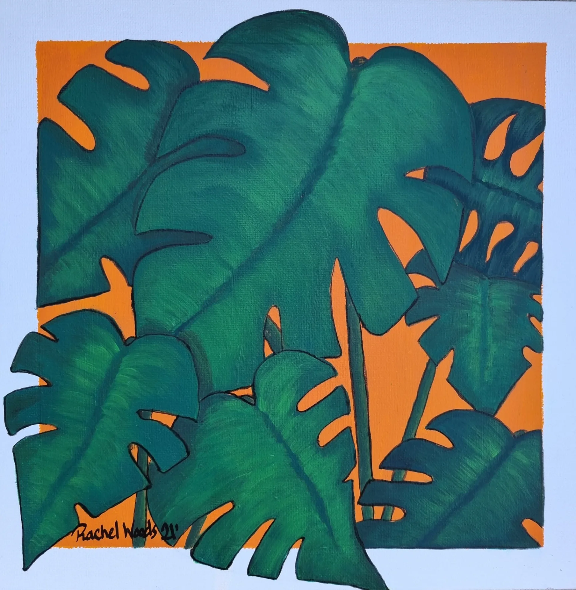 Monstera at Dusk