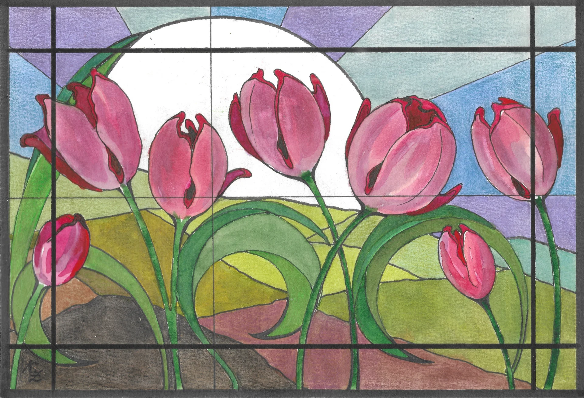 Tulips in Sunrize