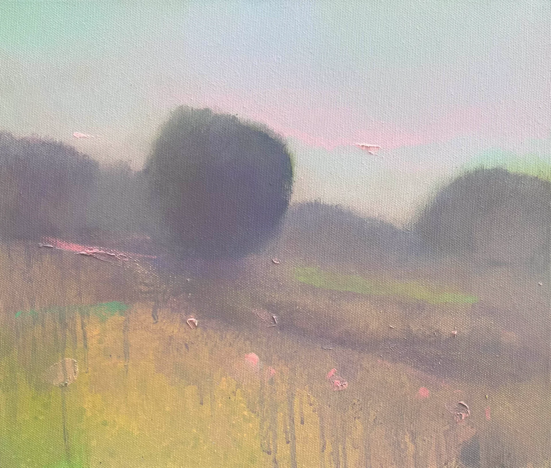 EARLY MIST 05