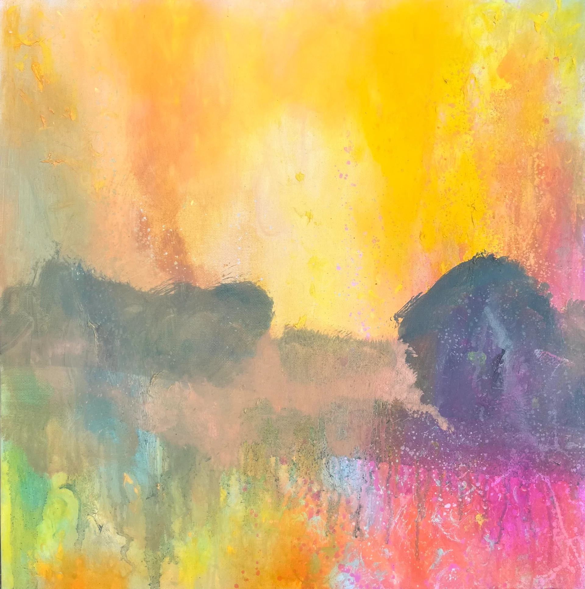 WHERE LIGHT OPENS 02