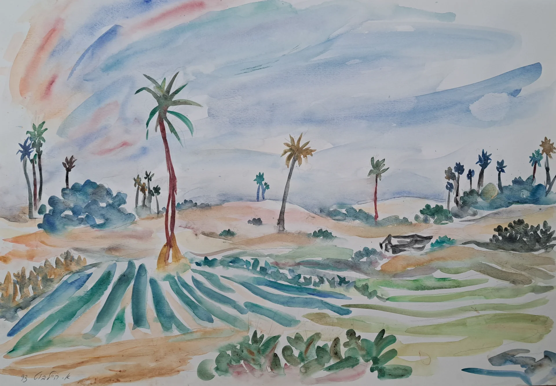 Oasis