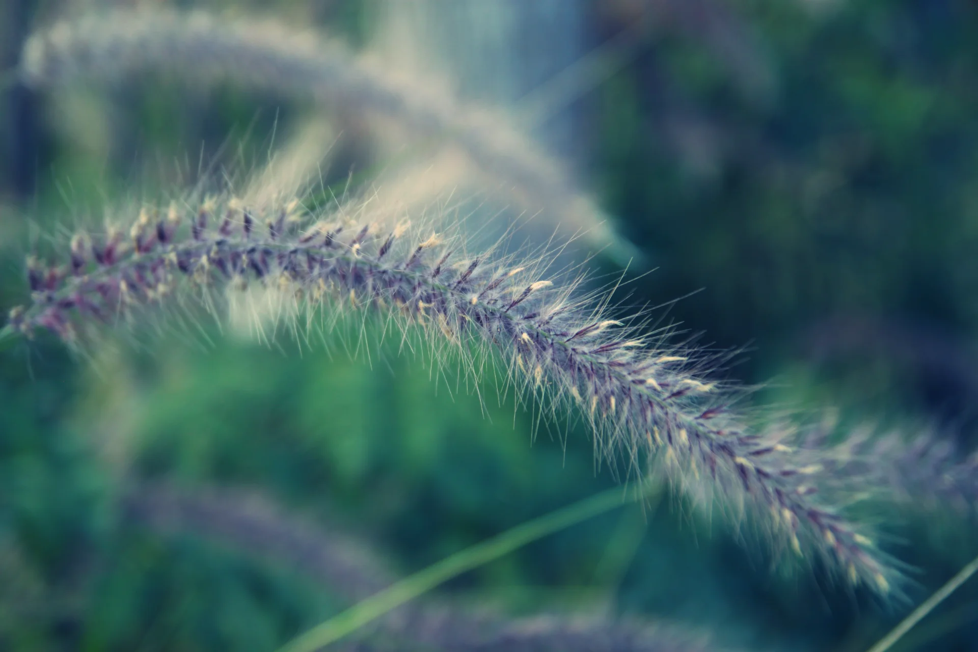 Fibers of Serenity