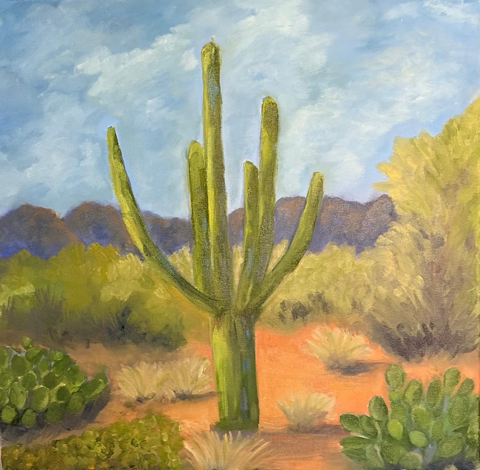 Desert cactus