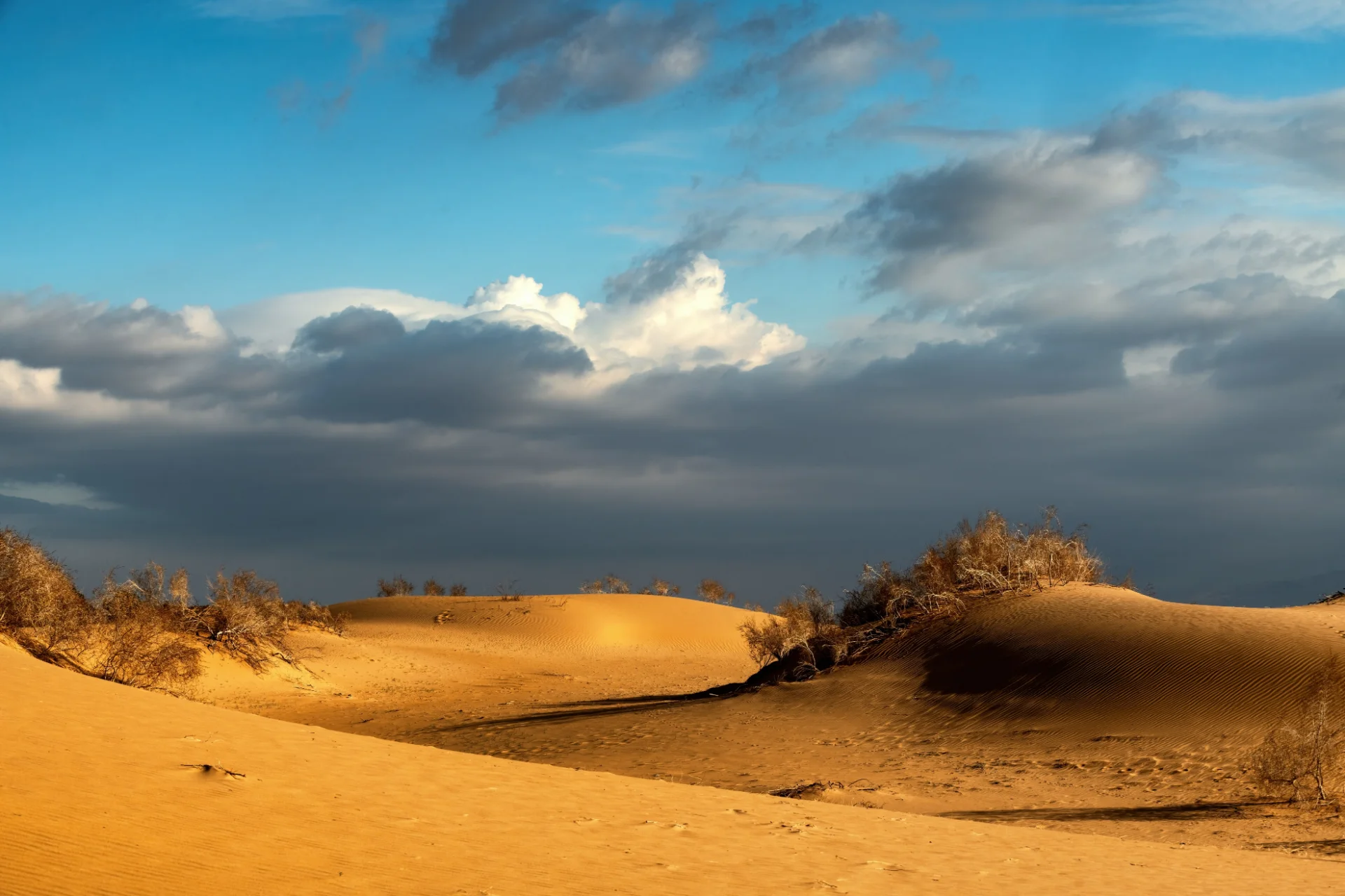 Storm Over Dunes