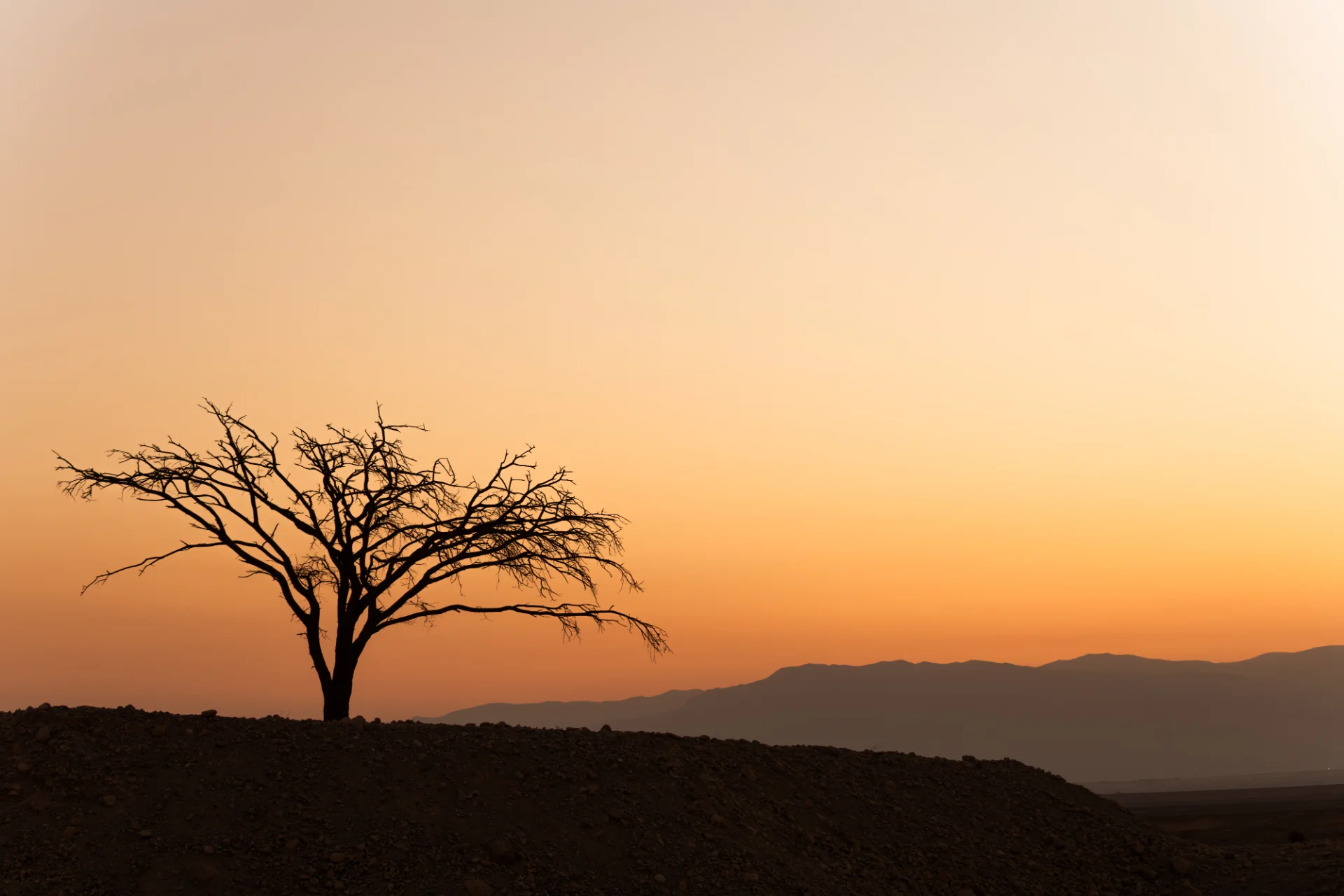Desert Twilight Silhouette