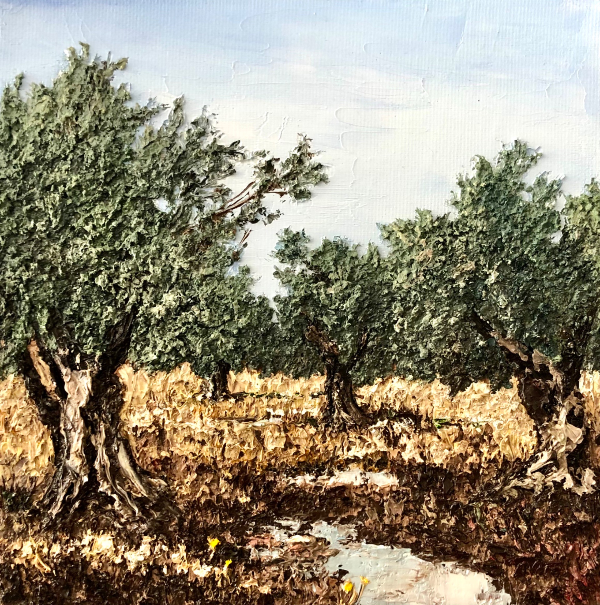 Olive Grove Light