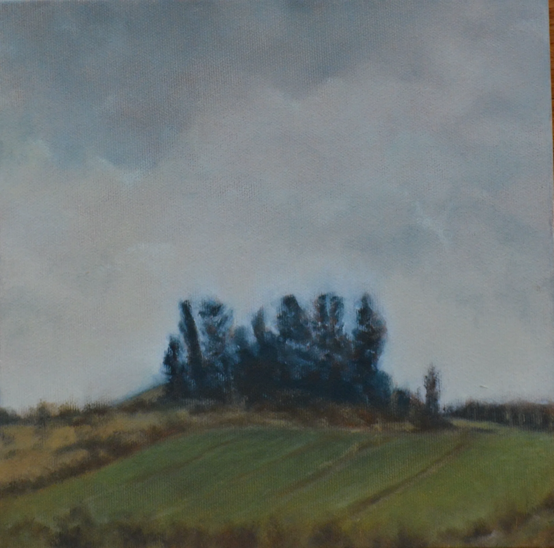 A hill under an autumn sky