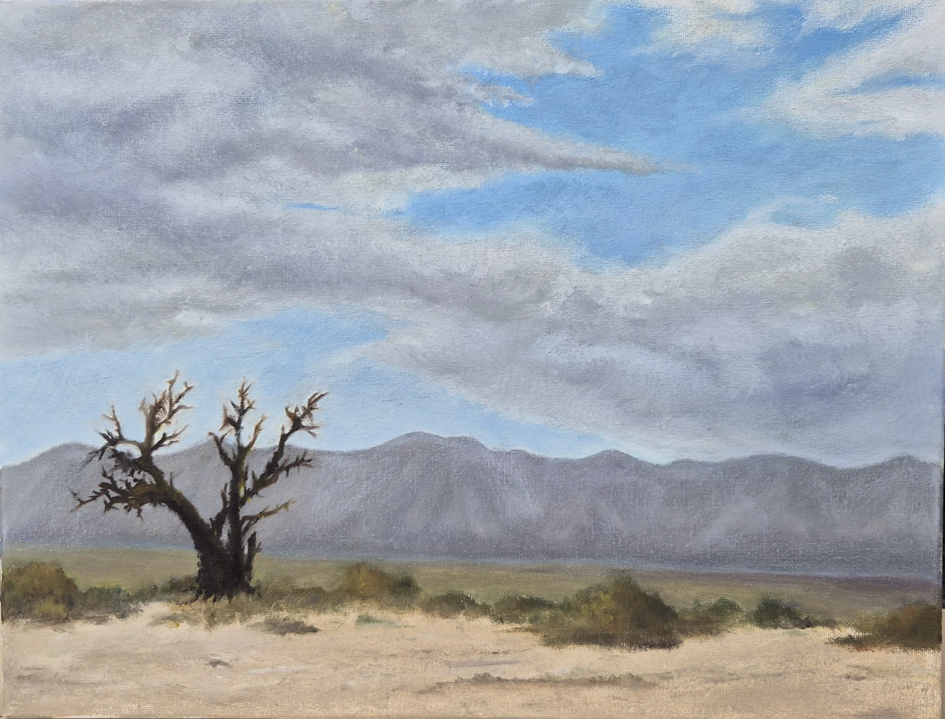 Arava