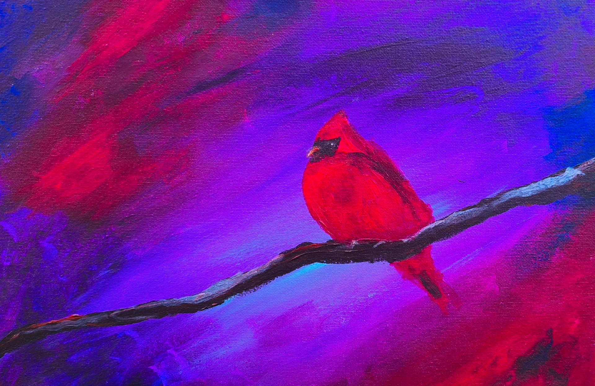 Cardinal at Dusk