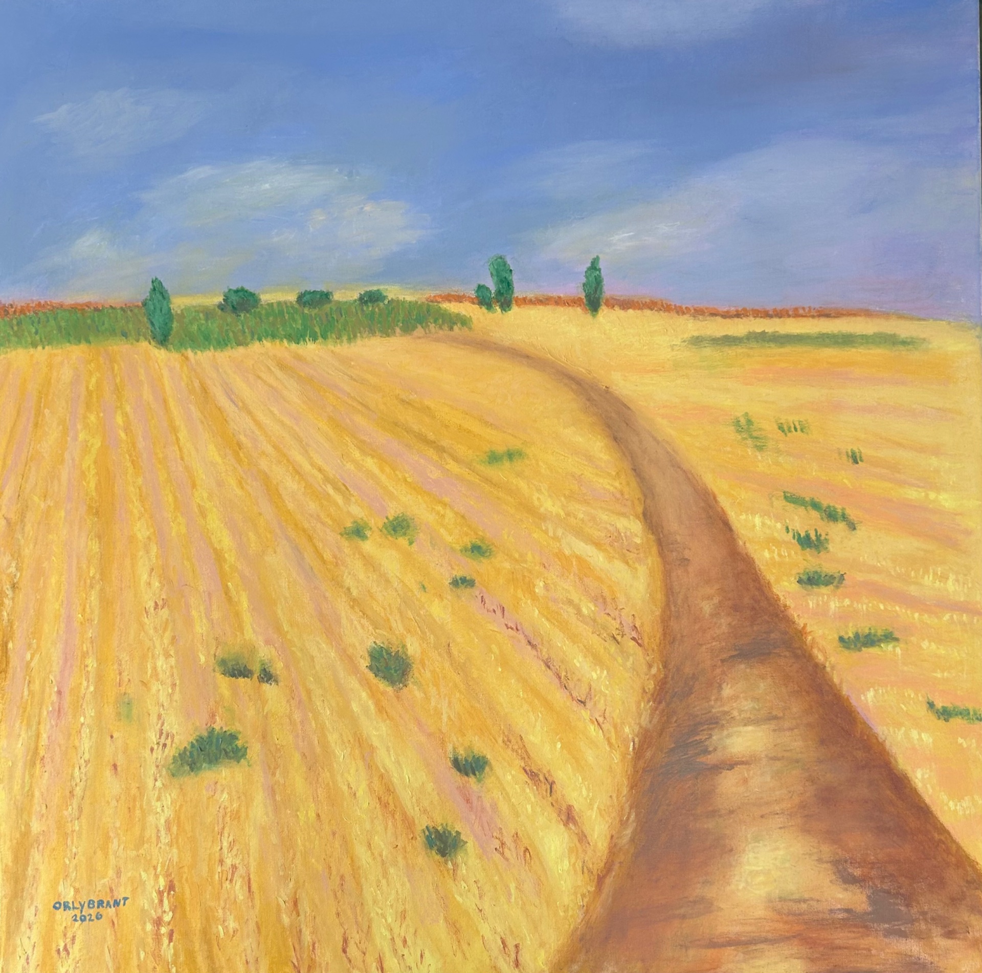 Field after harvest