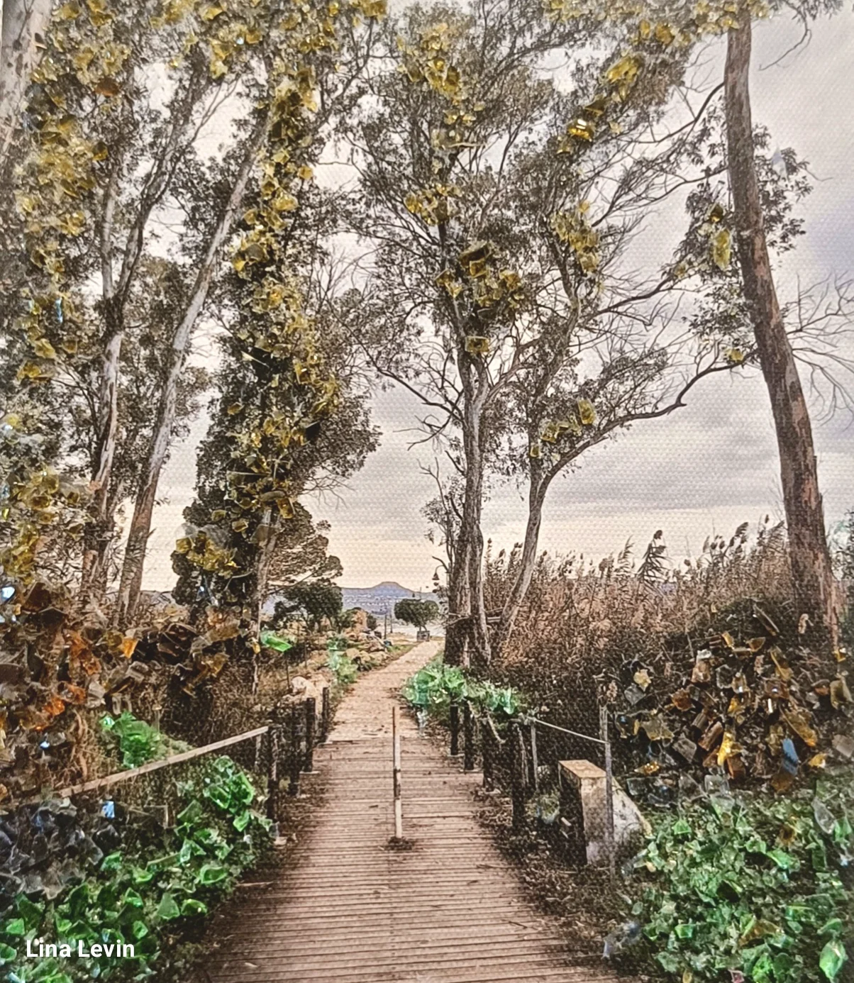 Path Through the Grove