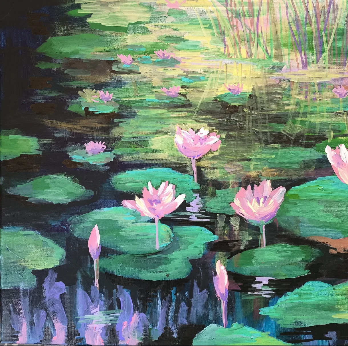 Lotus Light Pool