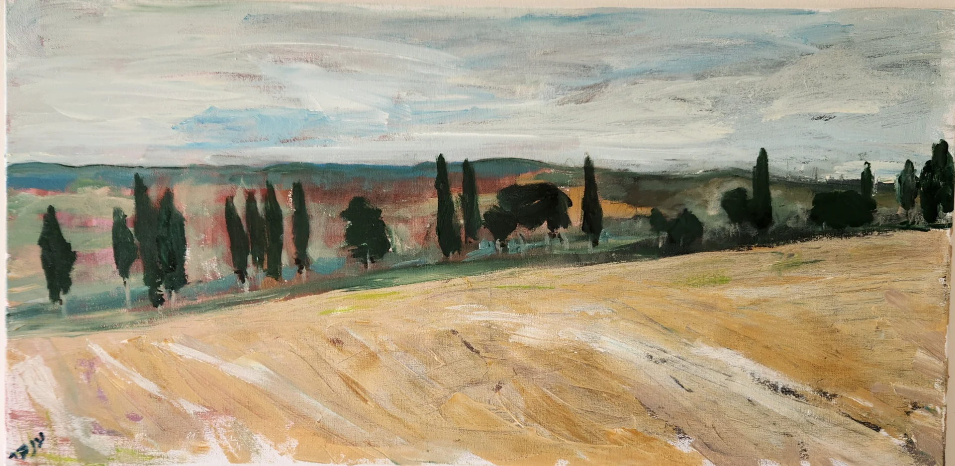 Cypress Field Horizon