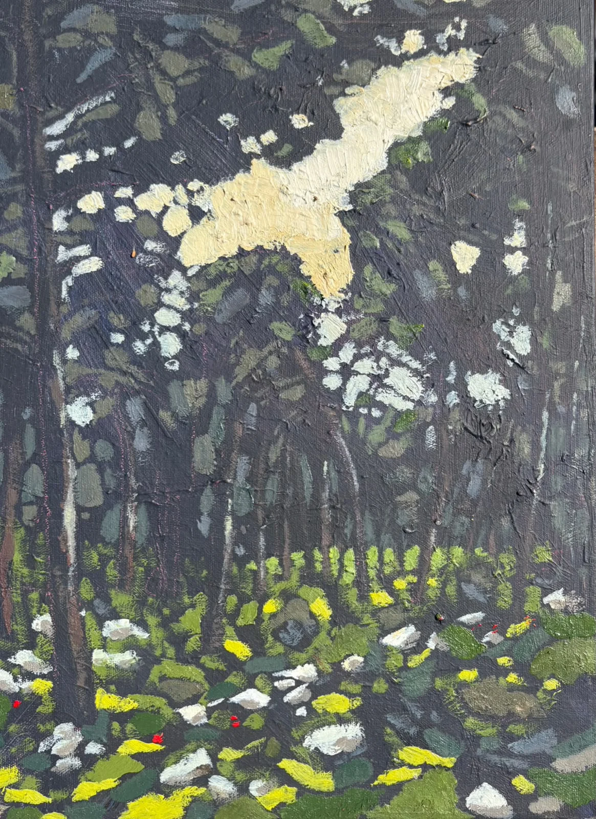 Forest sunset | Elad shefa | Paintings | Under 1000